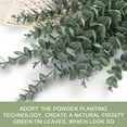 thumbnail image 6 of 20Pc Artificial Plants Clearance! Nomeni Simulation Eucalyptus 20Pc [Dark Green-Frosty White], Fake Flowers Promotion Sale! Green, 6 of 9