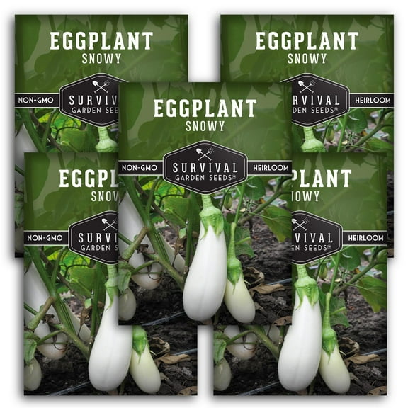 Snowy Eggplant Seeds - 5 Pack - Non-GMO Heirloom Full Sun Annual Vegetable