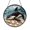 Acrylic 3.5 Inch, variant on Killer Whale Ocean Suncatcher Vibrant Plaque Item Panel Hanging Glass
