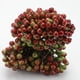 thumbnail image 3 of Ramo de bayas de acebo Yotijar de doble cabeza 200 piezas espuma artificial, 3 of 6