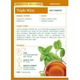 thumbnail image 6 of (6 pack) Traditional Medicinals Triple Mint, Tea Bags, 16 Ct, 6 of 12