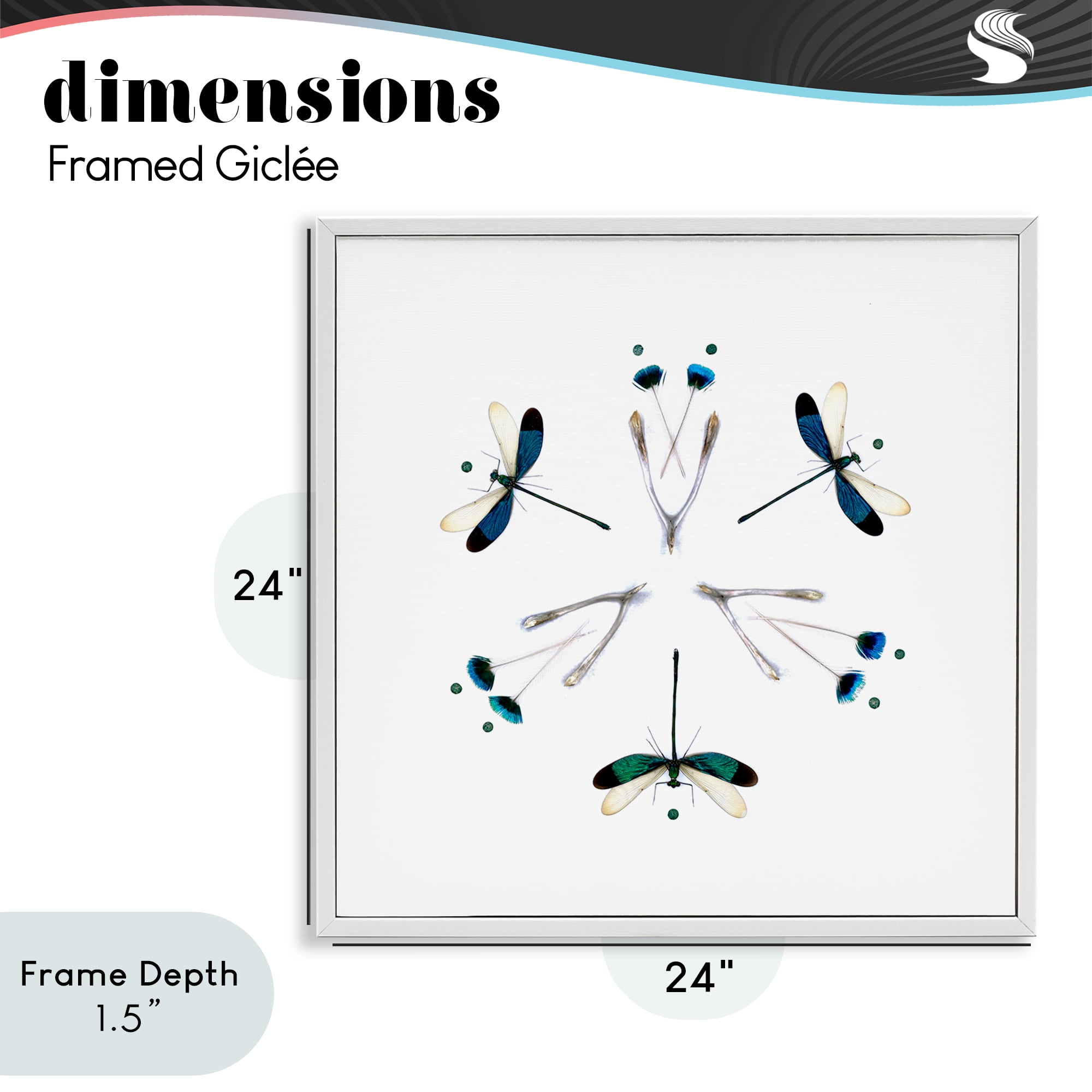 Stupell Industries Simple Dragonfly Symmetry White Framed Giclee Art, design by Beth Adoette