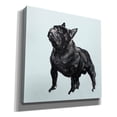 thumbnail image 2 of Epic Graffiti 'A Very Pastel Modern Dog 3'  by Cartissi Canvas Wall Art, 37" x 37", 2 of 8