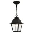 thumbnail image 3 of 2164-04-Livex Lighting-Mansfield - 1 Light Outdoor Pendant Lantern in Coastal Style - 7.5 Inches wide by 11.5 Inches high, 3 of 5