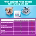 thumbnail image 6 of Nature's Pure Edge Kidney Support Hydration Appetite Urination Powder for Cats & Dogs, 200g, 6 of 12