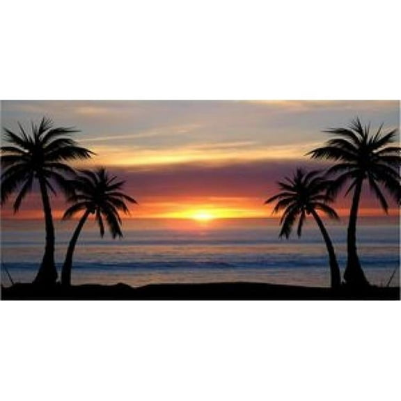 212 Main LPO532 6 x 12 in. Palm Trees at Sunset Photo License Plate