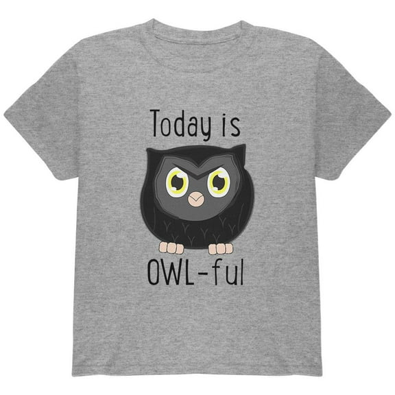 Owl Today Is Owful Awful Funny Pun Youth T Shirt Heather YSM
