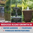thumbnail image 5 of The Pond Guy InstaFix Fish Pond & Water Garden Algae Remover Treatment, EPA-Registered Algaecide—16 oz., 5 of 10
