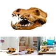 thumbnail image 3 of Anatomically Accurate Wolf Head Bone Sculpture Resins Craft Skull Model Replicas for Science Education Display, 3 of 8