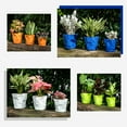 thumbnail image 2 of Mini Flower Pots Plastic Pots With Tray For Plants,Flowers,Succulents,Seed Starter Pots, 2 of 5