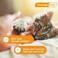 thumbnail image 4 of Advantage Multi for Cats 5-in-1 Heartworm Prevention, Cats 2-5 lbs., 4 of 11