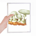 thumbnail image 1 of Delicious Fresh Mushroom Illustration Notebook Loose Diary Refillable Journal Stationery, 1 of 3