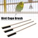 thumbnail image 5 of Haofy 3 Uds Cepillo de Limpieza de Jaula para Pájaros Mango Largo de Madera Cepillo de Limpieza de Jaula para Mascotas Herramienta de Limpieza de Jaula para Pájaros Pequeños y Medianos, 5 of 8