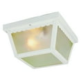 thumbnail image 1 of Trans Globe 4901/4902 Outdoor Flushmount Light, 1 of 2