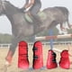 thumbnail image 4 of Juego de botas de de tendón de caballo, equitación, salto, absorción XL rojo Sharpla Botas de tendón de caballo, 4 of 8