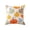 E004- Clear (D), variant on Fall Throw Pillow, Detailed Embroidered Pumpkin Artwork, Fall Pumpkin Decor for Cozy Sofa Arrangement, Perfect Casual Accent for Seasonal Home Decor and Farmhouse Halloween Decor,