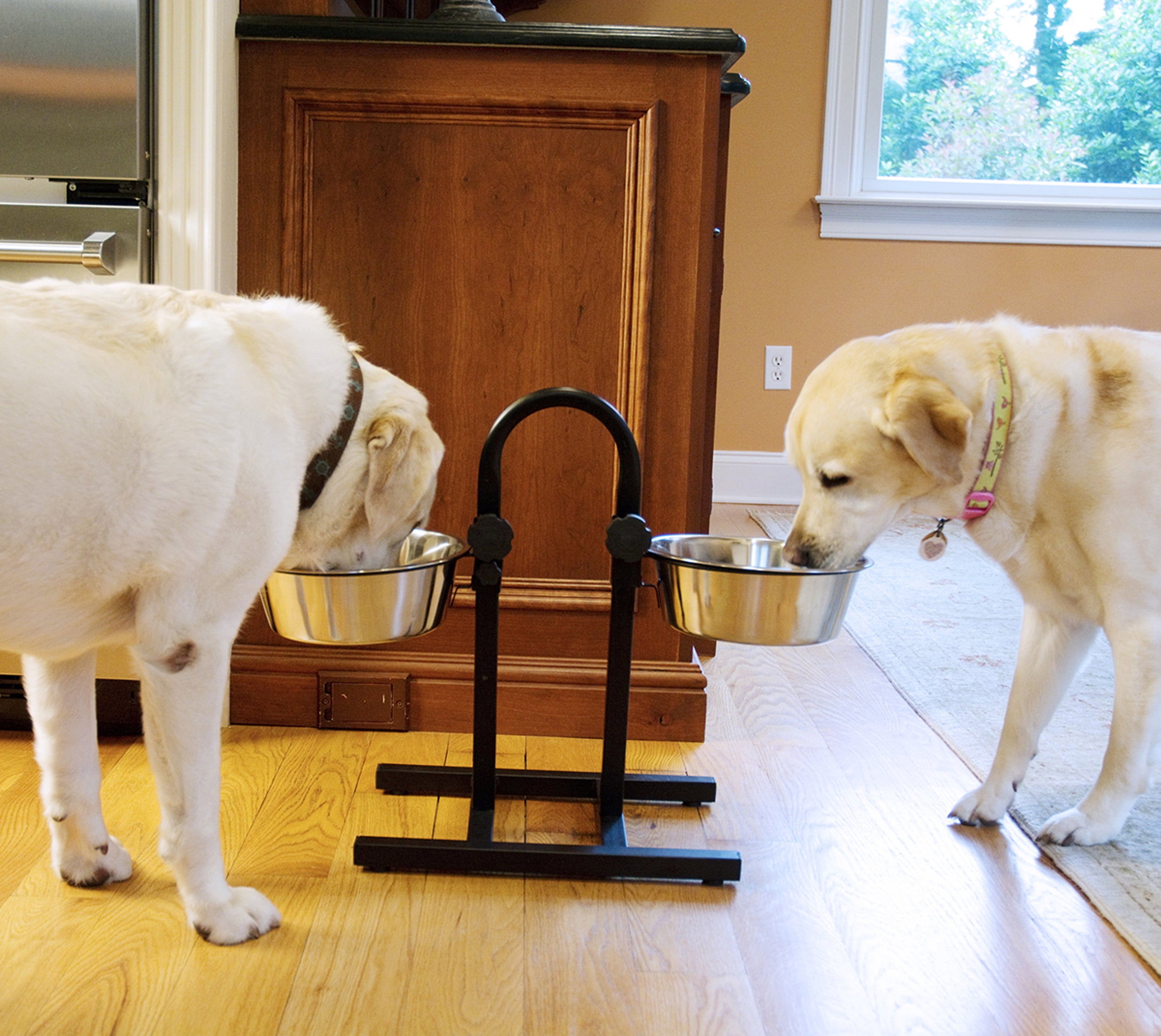 Iconic Pet  Stainless Steel Adjustable Pet Double Diner 20 cup