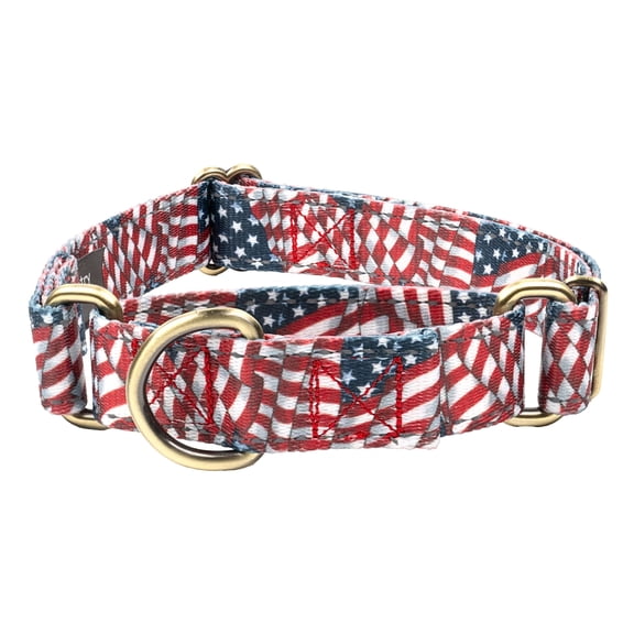 Country Brook Petz® Patriotic Tribute Reflective Martingale Dog Collar, Medium