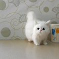 thumbnail image 4 of Fluffy Plush Cat Stuffed Animal Toy  Christmas Birthday Gift, 4 of 5