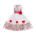 thumbnail image 2 of Girls' Sleeveless Embroidered Lace Mesh Dress with Floral Design for Performance and Special Occasions, 2 of 7