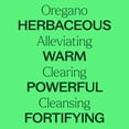 thumbnail image 2 of Plant Therapy Organic Oregano Essential Oil 100% Pure, USDA Certified Organic, Undiluted, Natural Aromatherapy 100 mL (3.3 oz), 2 of 8
