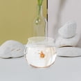 thumbnail image 3 of 4pcs Mini Plastic Fish Tank Household Goldfish Tank Fish Bowl Aquarium Tank Clear Fish Tank, 3 of 9