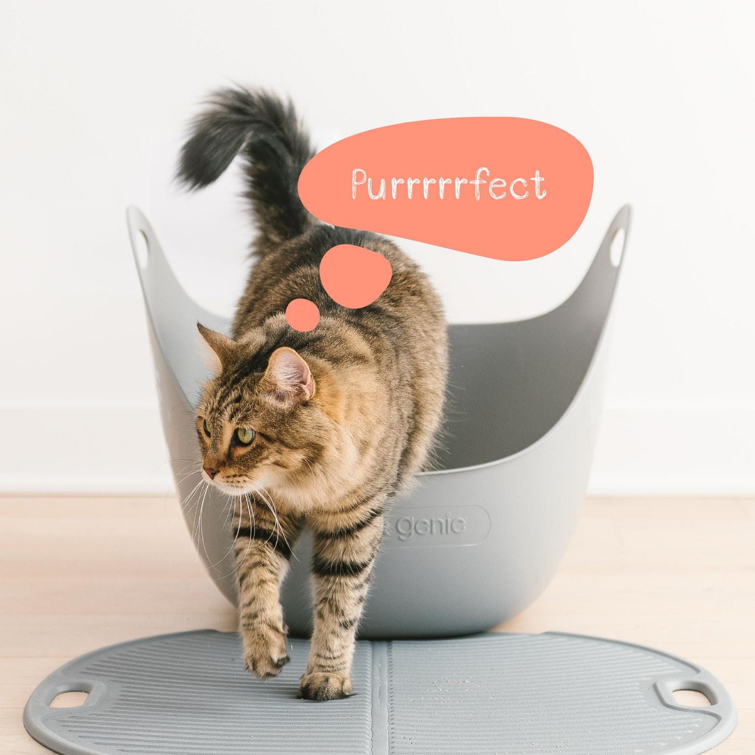 Bac à litiere Litter Genie Confort pour le chat et nettoyage facile