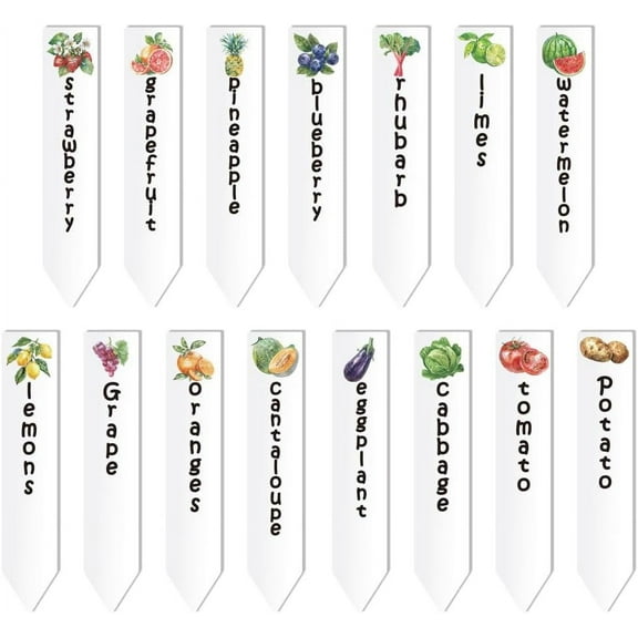 15 Pcs Acrylic Plant Label Signs tomato Potato lemon Grape fruit vegetable garden Marker with name and pattern clear Plant Tags for Seed Potted Garden gift Farm Supplies 4x0.8inch(10.2x2cm)