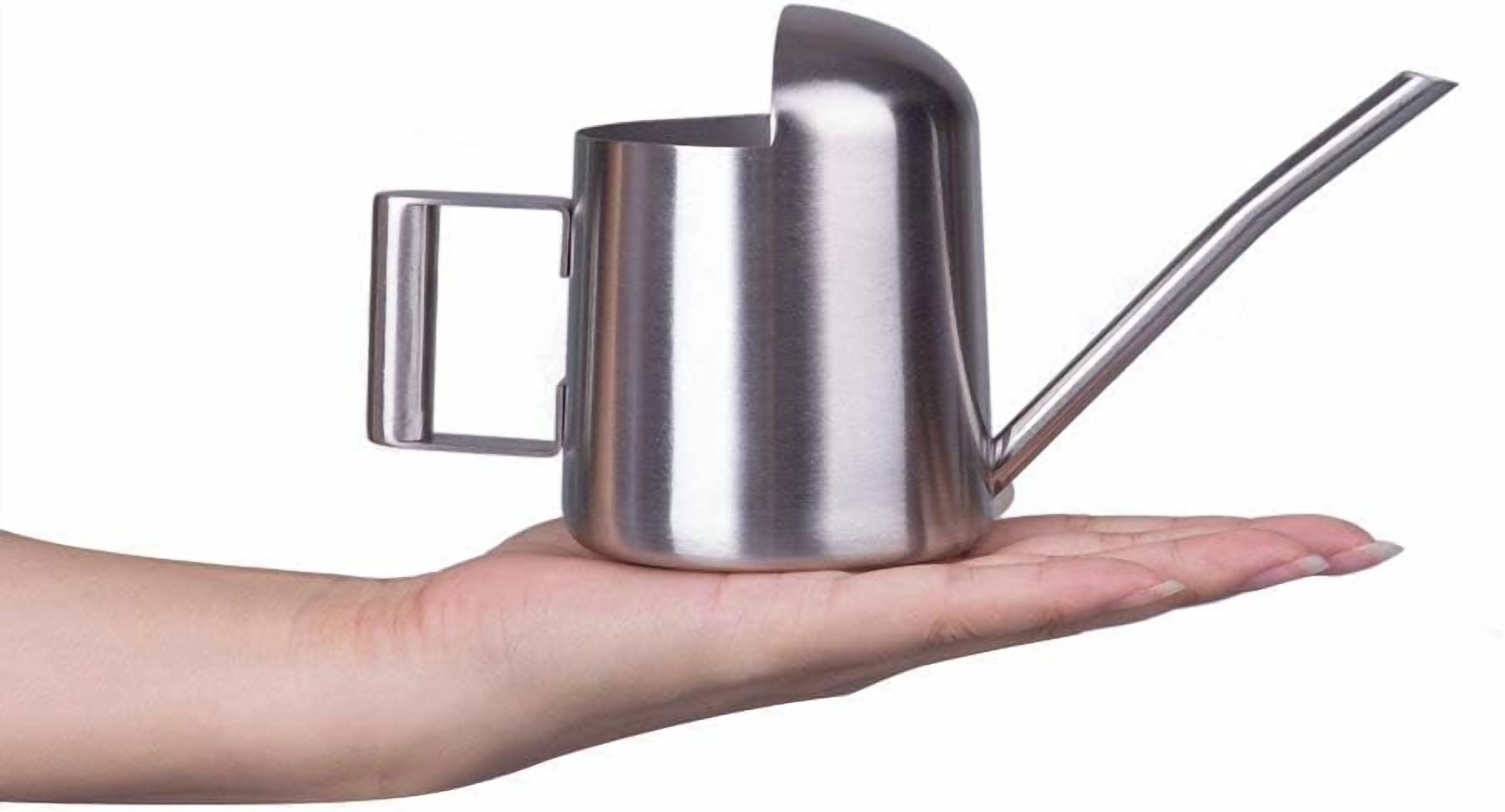 Mini Watering Can for Indoor Plants Stainless Steel Small Watering Can 11oz/300ml