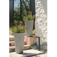 thumbnail image 3 of 26TL PLNTR GREY(X2) - FRENCH, 3 of 11