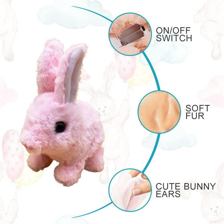 Logic toys for rabbits