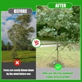 thumbnail image 2 of 3Pcs Tree Stake Kit Support for Leaning Young Tree Staking Anchor Kits with Straps Rope Sapling Tree Stake Support, 2 of 7