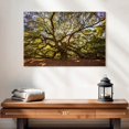 thumbnail image 2 of Elephant Stock Gnarled Angel Oak Wall Art - Horizontal Canvas Wall Art - Living Room Wall Decor - Floral And Botanical Canvas - Orange And Green Decor - 24" x 16", 2 of 8