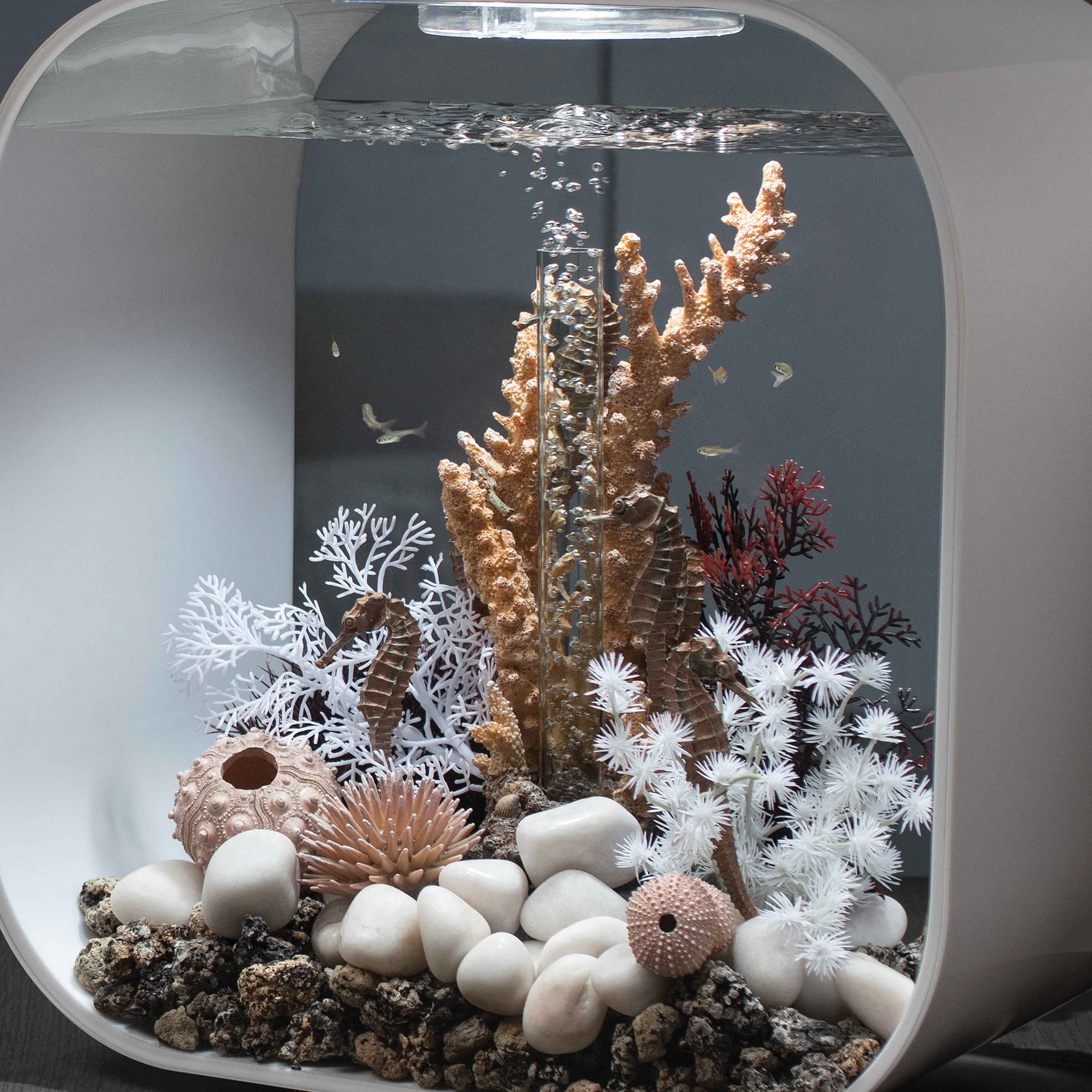 biOrb Medium Natural Seahorse Sculpture - Aquarium Decor
