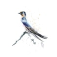 thumbnail image 2 of Shefranov, Olga 26x32 White Modern Wood Framed Museum Art Print Titled - Look Out, 2 of 4