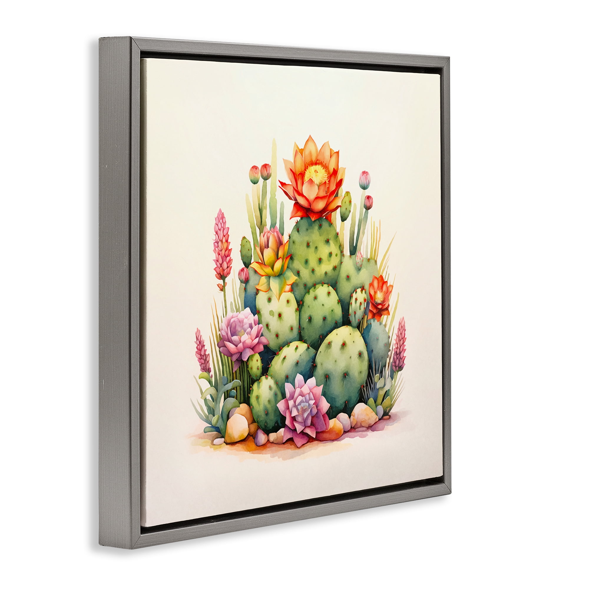 Stupell Industries Desert Spring Cacti Plants & Flowers Painting Gray Floater Framed Canvas Art Print Wall Art, 25 x 25