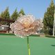 thumbnail image 1 of 1 pieza de 60 cm de flor grande, flor de peonía, camino de boda, diseño de evento al aire libre, escaparate, accesorios de tiro, pétalos de malla de lámina dorada, 1 of 2