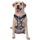 thumbnail image 1 of Balery Flower Arnés para Perros Grandes Antitirones, Arnés con Correa para Gato, Arnés Tipo Chaleco para Perros Pequeños-Small, 1 of 6