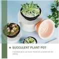 thumbnail image 3 of HLONK Plastic Flower Pot 6 Pcs Succulent Plant Desktop Ornament Seedling Pots Round Shallow, 3 of 6