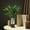 Clear, variant on Clearance! Uscallm Glass Vase with Bark Pattern, Wooden Base Cylindrical Flower Vase, Wood & Glass Arting, Classic Bohemian Style for Kitchen, Living Room, Fireplace, Centerpieces, Vintage Home Decor