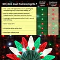 thumbnail image 4 of Christmas LED Duet C6/5mm Twinkling Lights  8 of 50 Lights Twinkle, Professional Grade Indoor Outdoor, 24.5 Feet Sparkling Light String, 50 Red, Green & White LED Bulbs - Christmas Tree Holiday Decor, 4 of 7