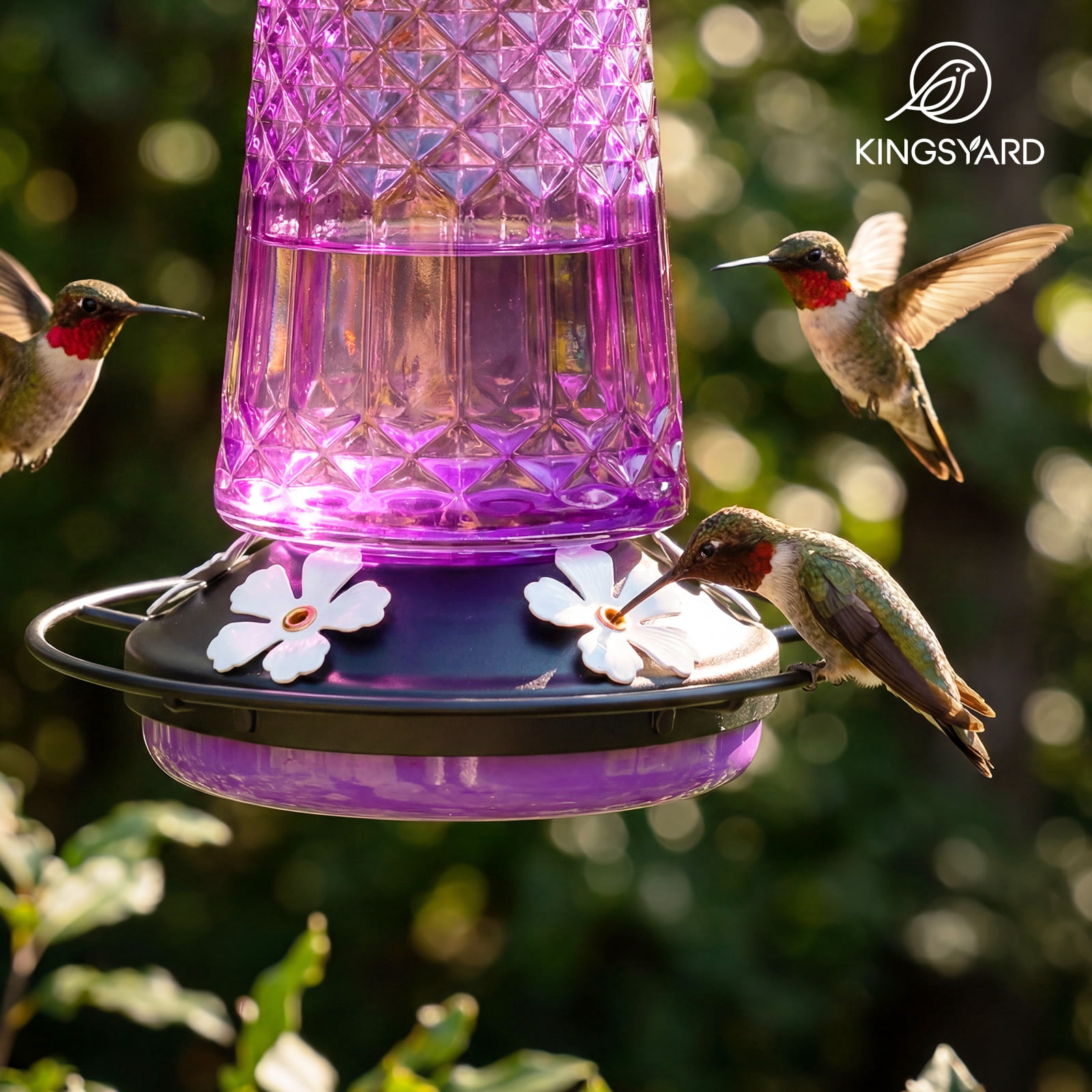 Kingsyard 18.6 oz Purple Glass Hummingbird Feeder, 5 White Ports, Ant Moat Included