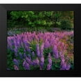 thumbnail image 2 of Fitzharris, Tim 22x20 Black Modern Framed Museum Art Print Titled - Lupines at West Beach, 2 of 5