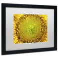 thumbnail image 2 of Trademark Fine Art "Cosmic Patterns in Nature" Canvas Art by Kurt Shaffer, White Matte, Black Frame, 2 of 3