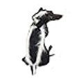 thumbnail image 3 of Midlee Skunk Dog Costume (X-Large), 3 of 4