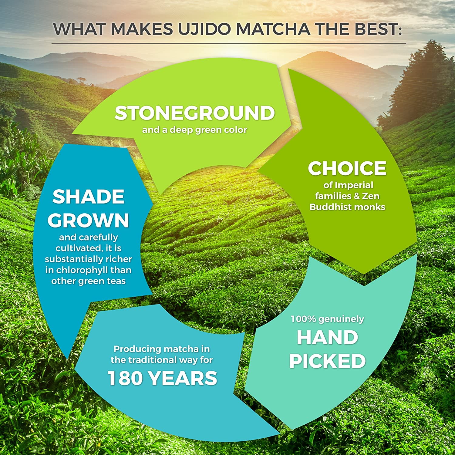 Ujido Ceremonial Matcha Green Tea Powder, 1 oz. (30 g) – Japanese Ceremonial Grade Matcha Powder – Hand-Picked Green Tea Leaf Powder – Antioxidant Superfood – Delicate, Rich Flavor – For Teas &