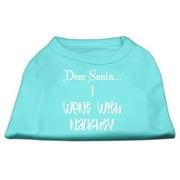 Dear Santa I Went with Naughty Screen Print Shirts Aqua Med (12)