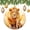 pattern-2, variant on Lioness Mom And The Cub Ornament Forest Animals Lion Double-Sided Printed 3" Ceramic Christmas Ornament Ceramic Elegant Hanging Christmas Tree Decorations Holiday Present