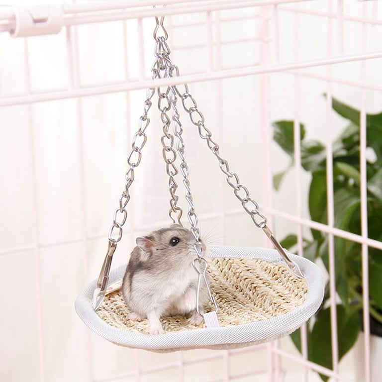 Gerbil beds clearance