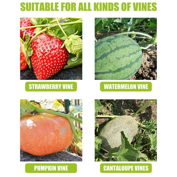 COSMOBETTY 100Pcs Yellow Fork Shaped PP Plant Support Clips Gardening Tools 2.6x0.4x0.1in